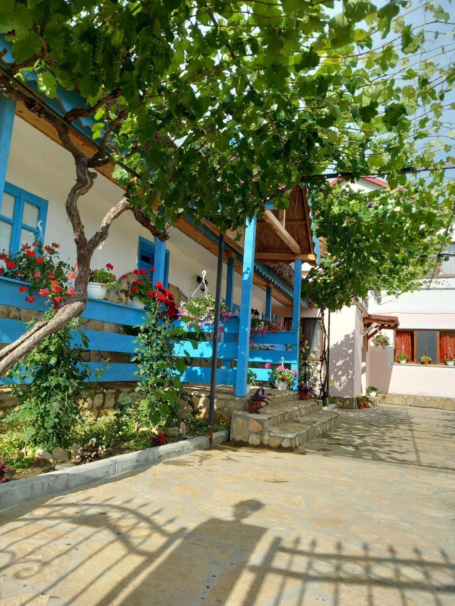 Casa Rasaritul Soarelui Sarichioi Hotel Kültér fotó