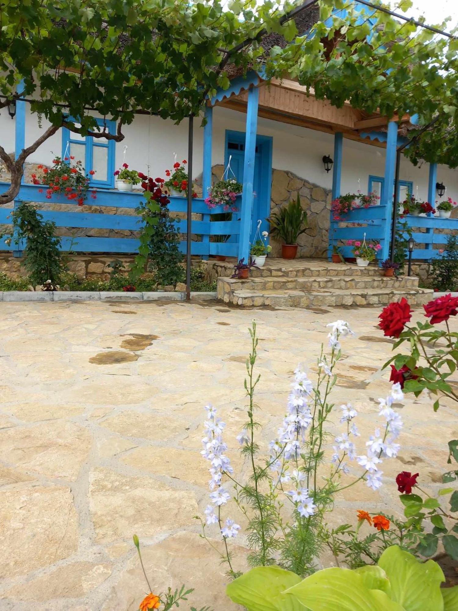 Casa Rasaritul Soarelui Sarichioi Hotel Kültér fotó