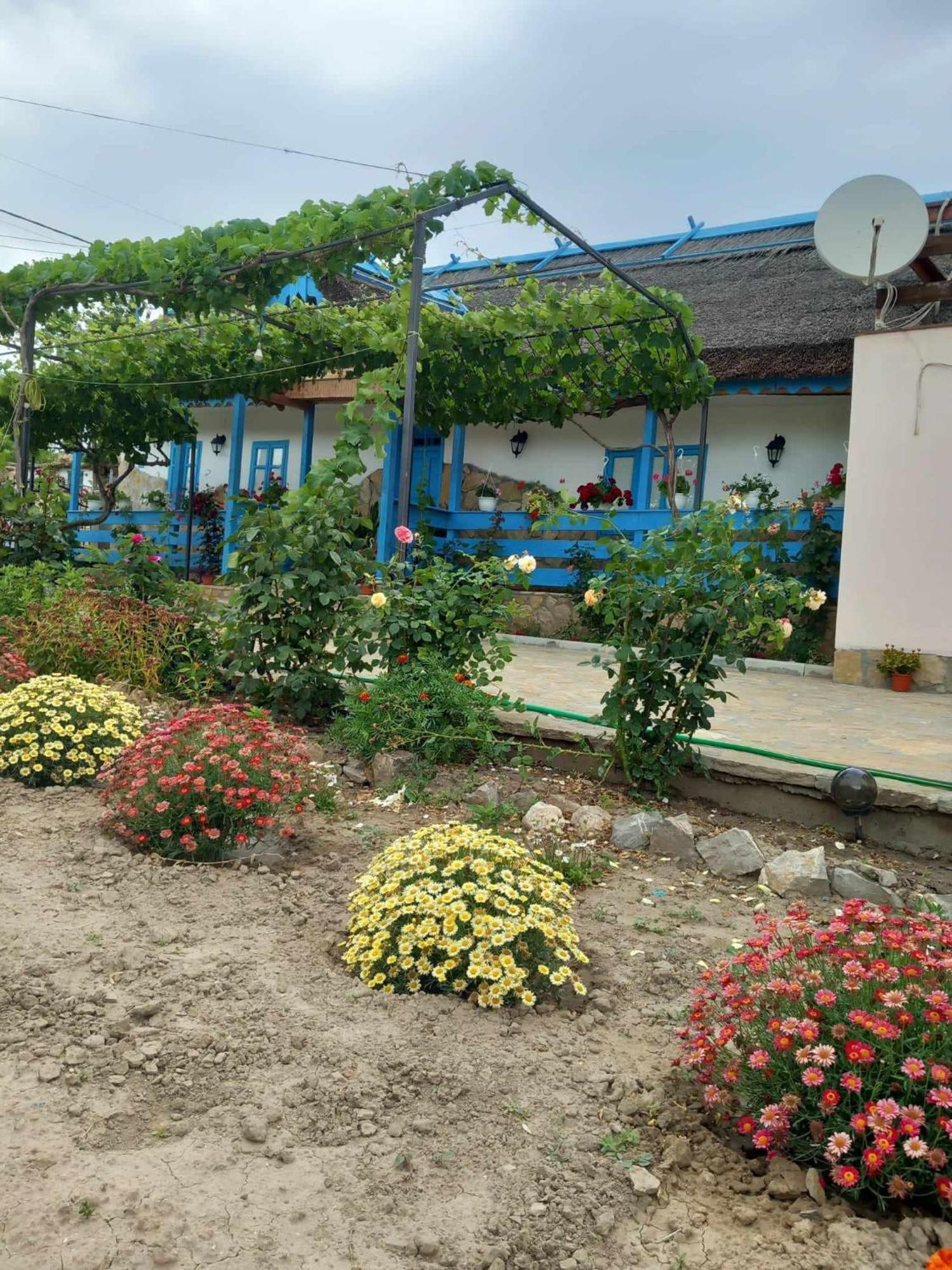 Casa Rasaritul Soarelui Sarichioi Hotel Kültér fotó