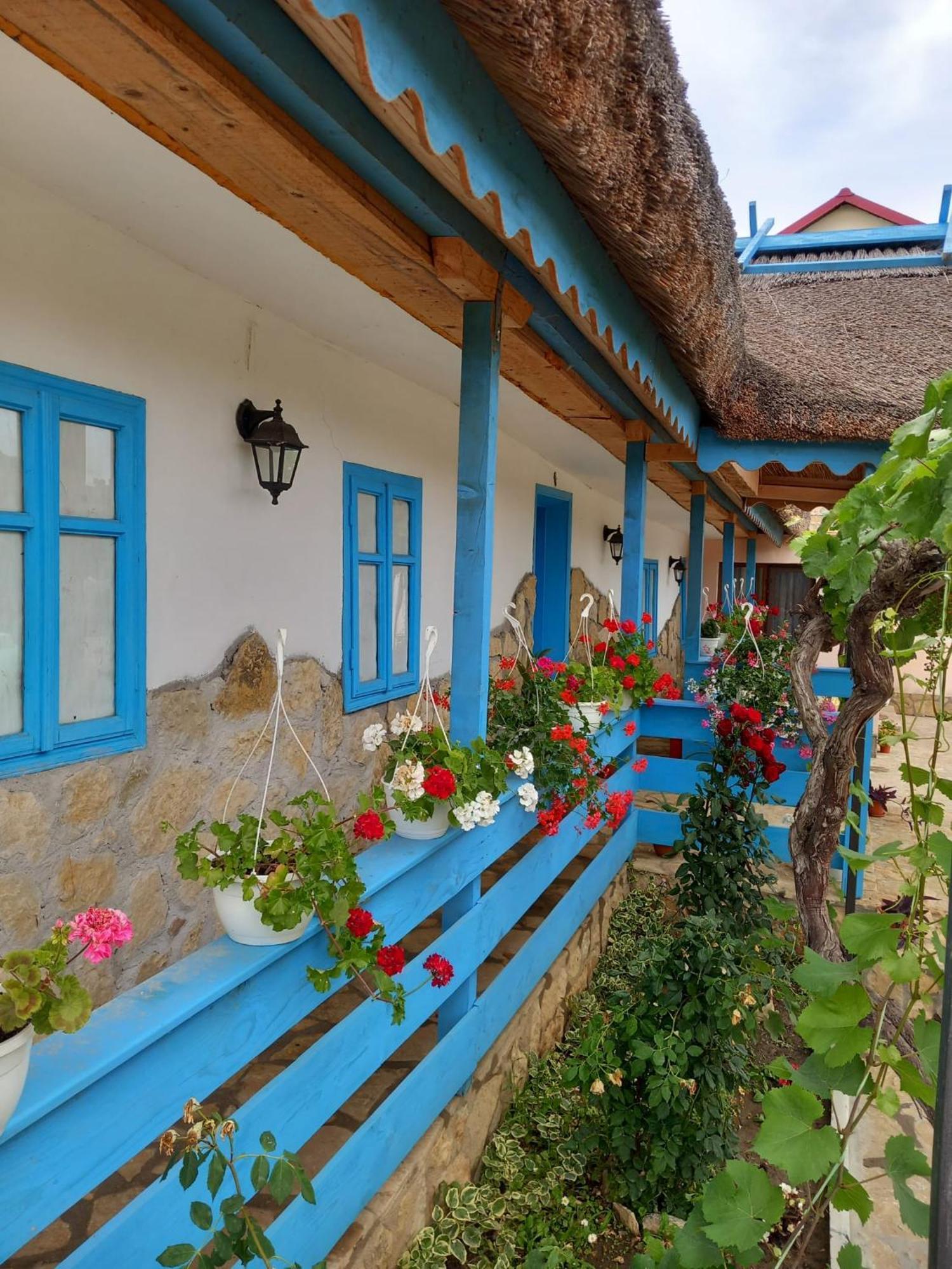 Casa Rasaritul Soarelui Sarichioi Hotel Kültér fotó